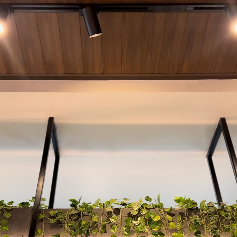 Indoor Ceiling - Walnut 2