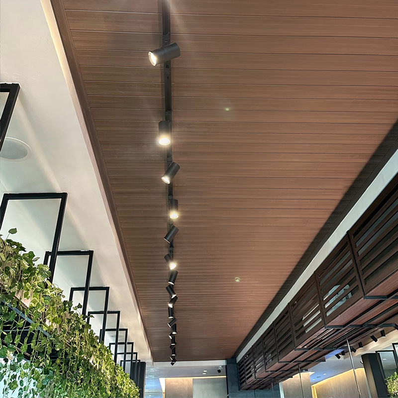 Indoor Ceiling - Walnut 3